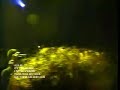 aux 88 performing a live cover of hashims al-naafiysh (the soul)