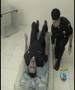 TASER BOTUCATU