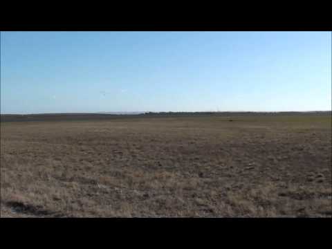 avalon airshow avalon airshow