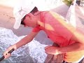 Pompano Pier Snook Fishing