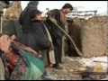 معاناة الأفغان في مخيمات النزوح -Views : 0