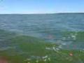 videos de Pesca Laguna Chasico Octubre 2008