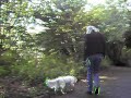 Trip in the Woods  by raYTurner