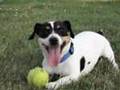 JRT LOLAN