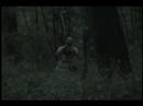 ninja v wizard