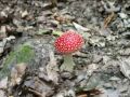 Spessart Impressionen