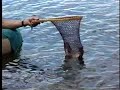 Fly Fishing Trout Montana Lakes