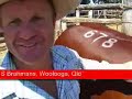 $80,000 for bull on day three of Brahman Week