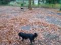 videos de Uko & Waya samen met Spy & Oryon