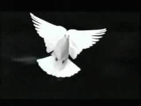 The sisters of Mercy
