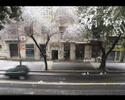The Apples- Natri Ba Makom