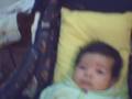 videos de bebe bibo