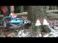 Hydraulischer Fällkeil-  unentbehrlich bei der Holzernte/ Demo...