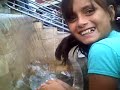 CORAZON REBELDE --FIRMA