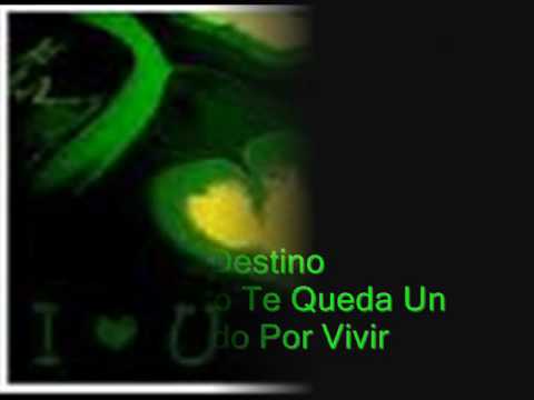 Imagen de previsualización de YouTube