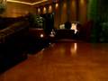 Beijing Hyatt Lounge Singer(s)