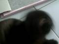 CIMG2586