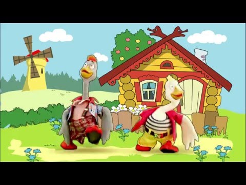 video-show