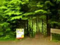 Will, Run of Haldon Freeride area.