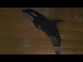 Freeside Atlanta First Walk-through