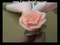 Learning the Secrets to Cake Decorating