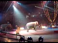 Ringling brothers Barnum and Bailey Circus