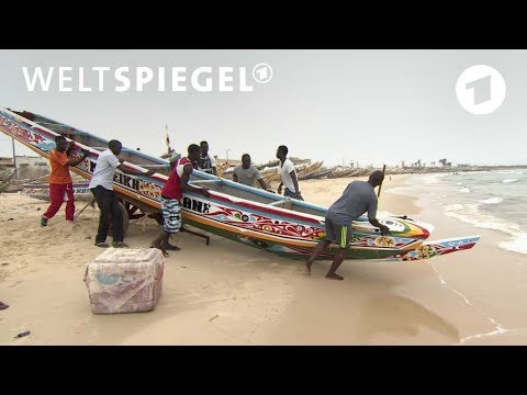 Senegal: Aussichtsloser Kampf der Fischer | Weltspieg ...