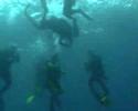 Borneo 08 Trailer Borneo 08 Trailer