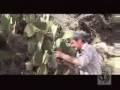 videos de Youtube Poop: Survivorpoop Part 1
