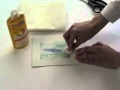 Citra Solv Photo Transfer Project