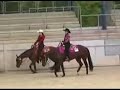 Quarter Horse Stute Babe League - CC-Showhorses