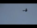 Sopwith Pup 1/3rd Scale Model Flies First time in Years!!