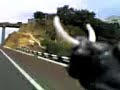 Toro volador!!!