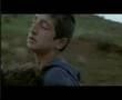 Turtles can fly movie trailer