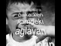 gelseydin