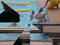 dent swimming team