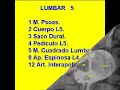 ANATOMIA BASICA EN EL TAC LUMBO - SACRO