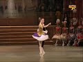 Sleeping Beauty pas de deux - Osmolkina e Fadeyev