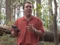 How GPS Receivers Work