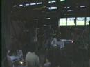 Some Blues by Butch Some Blues by Butch