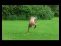Chase Armitage Showreel 2006 - 