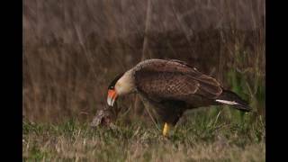Los ocho lugares turísticos pampeanos para este verano