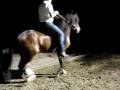 Mario Gomez montando Sol Naciente, Caballo Paso Fino Puertorriqueno