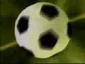 Fernando Vanucci bêbado