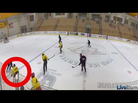 2022 USA Hockey Dev Camp / Nashville Jr Predators 15O AAA  tryout