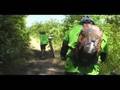 Enduro EART 2008 II - Etapa