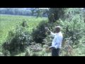 Vetiver System (Vetiver Grass): Wetland Restoration