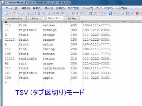Emeditor Professional - CSV モード、TSV モード、DSV モード