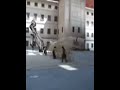 reina sofia performance
