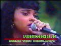 TE OLVIDARE - LAS MUSAS DEL VALLENATO TE OLVIDARE - LAS MUSAS DEL VALLENATO